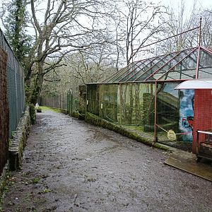 Owl exhibits- Avifauna Lugo