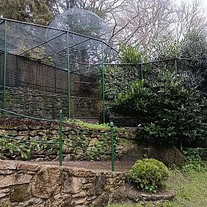 Mixed exhibit - Avifauna Lugo