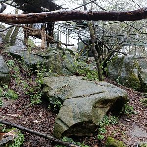 Eagle owl exhibit- Avifauna Lugo