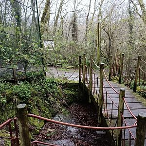 General view - Avifauna Lugo