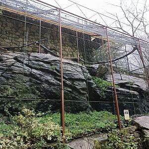 Spanish imperial eagle exhibit - Avifauna Lugo