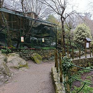 Eagle owl exhibits - Avifauna Lugo