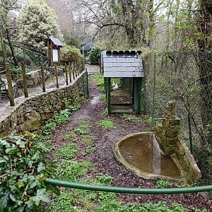 Muscovy duck exhibit - Avifauna Lugo