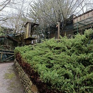 General view - Avifauna Lugo
