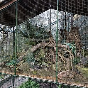 Dinosaur exhibit- Avifauna Lugo