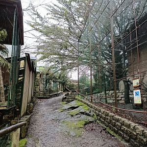 General view - Avifauna Lugo