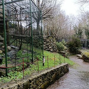 General view - Avifauna Lugo