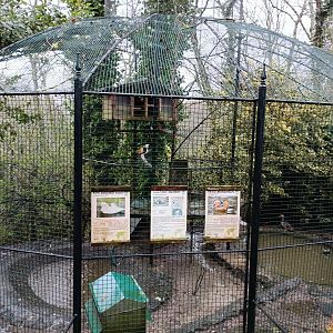 Mixed exhibit - Avifauna Lugo