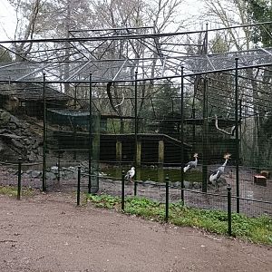 Mixed exhibit - Avifauna Lugo