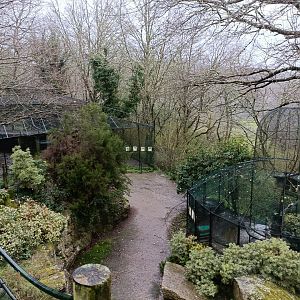 General view - Avifauna Lugo