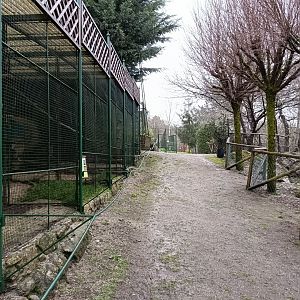 General view - Avifauna Lugo