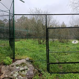 Greater rhea exhibit - Avifauna Lugo