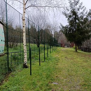 Ratites zone - Avifauna Lugo