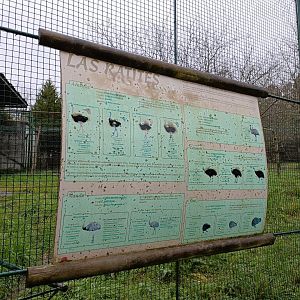 Sign - Avifauna Lugo