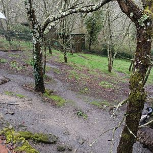 Emu exhibit - Avifauna Lugo