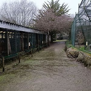 General view - Avifauna Lugo