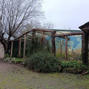 General view - Avifauna Lugo