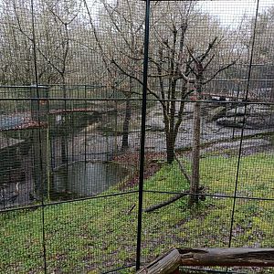 Turkey vulture exhibit - Avifauna Lugo