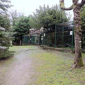 General view - Avifauna Lugo