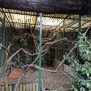 Barn owl exhibit - Avifauna Lugo