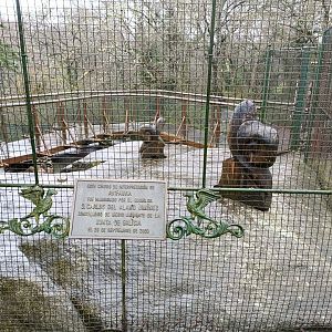 Sign - Avifauna Lugo