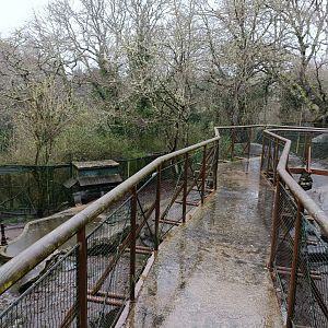 General view - Avifauna Lugo