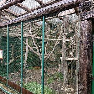 Great grey owl exhibit - Avifauna Lugo