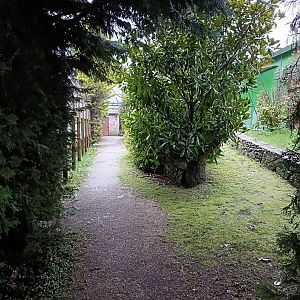 General view - Avifauna Lugo
