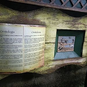 Sign - Avifauna Lugo