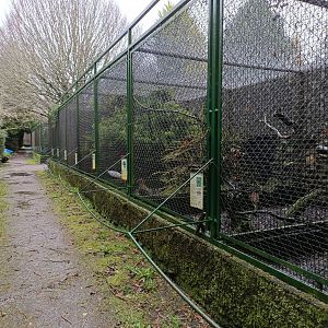 Pheasant exhibits - Avifauna Lugo