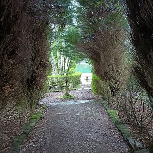 General view - Avifauna Lugo