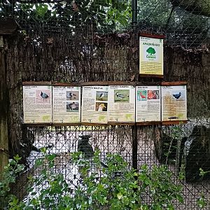 Sign - Avifauna Lugo