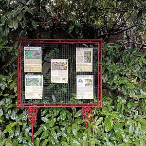 Sign - Avifauna Lugo