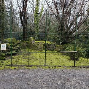 Mixed exhibit - Avifauna Lugo