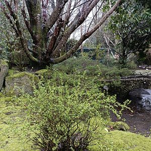 Mixed exhibit - Avifauna Lugo