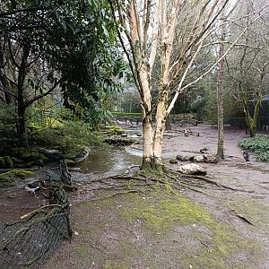 Mixed exhibit - Avifauna Lugo