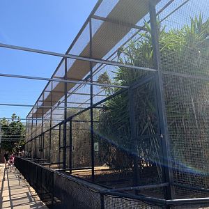 Parrot Aviaries
