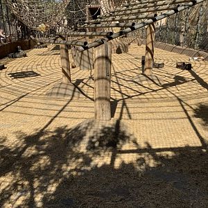 Patas Monkey enclosure