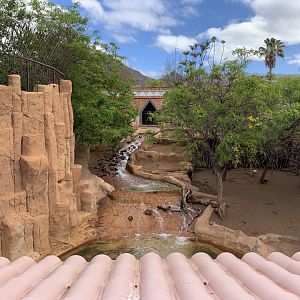 Fallow Deer enclosure - repurposed Tiger exhibit