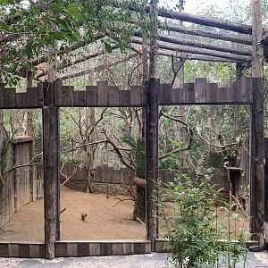 Squirrel Monkey Enclosure