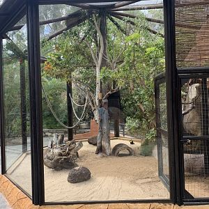 Mixed Species exhibit