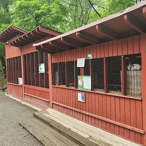 Teatown Lake Reservation - Small mammal exhibits
