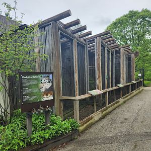 North Chagrin NC - Owl enclosures