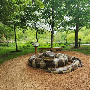 North Chagrin NC - Giant water snake