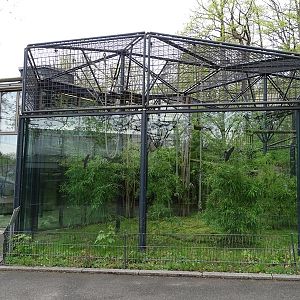 Lar gibbon enclosure