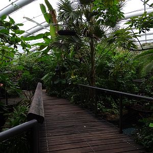 Inside the Manatee House