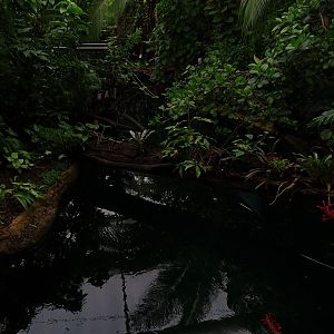 Inside the Manatee House