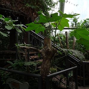 Inside the Manatee House