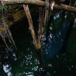 Inside the Manatee House