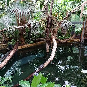 Inside the Manatee House